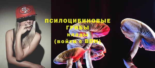 PSILOCYBIN Алексеевка