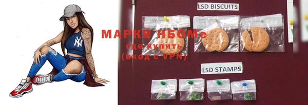 PSILOCYBIN Семёнов