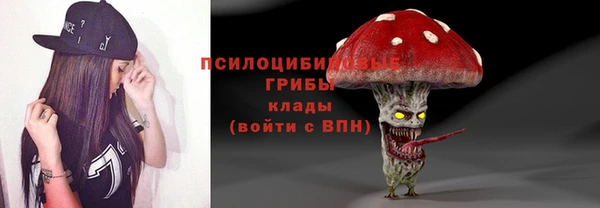 PSILOCYBIN Семёнов