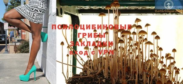 PSILOCYBIN Семёнов