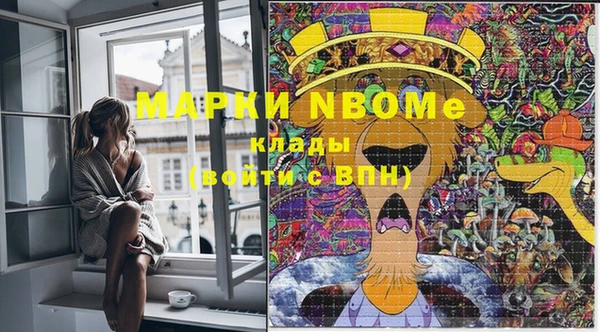 apvp Семилуки