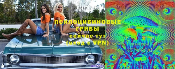 амф Алзамай