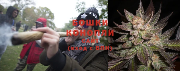PSILOCYBIN Алексеевка