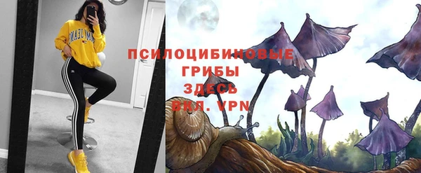 PSILOCYBIN Алексеевка