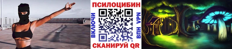 Псилоцибиновые грибы GOLDEN TEACHER  Лесной 