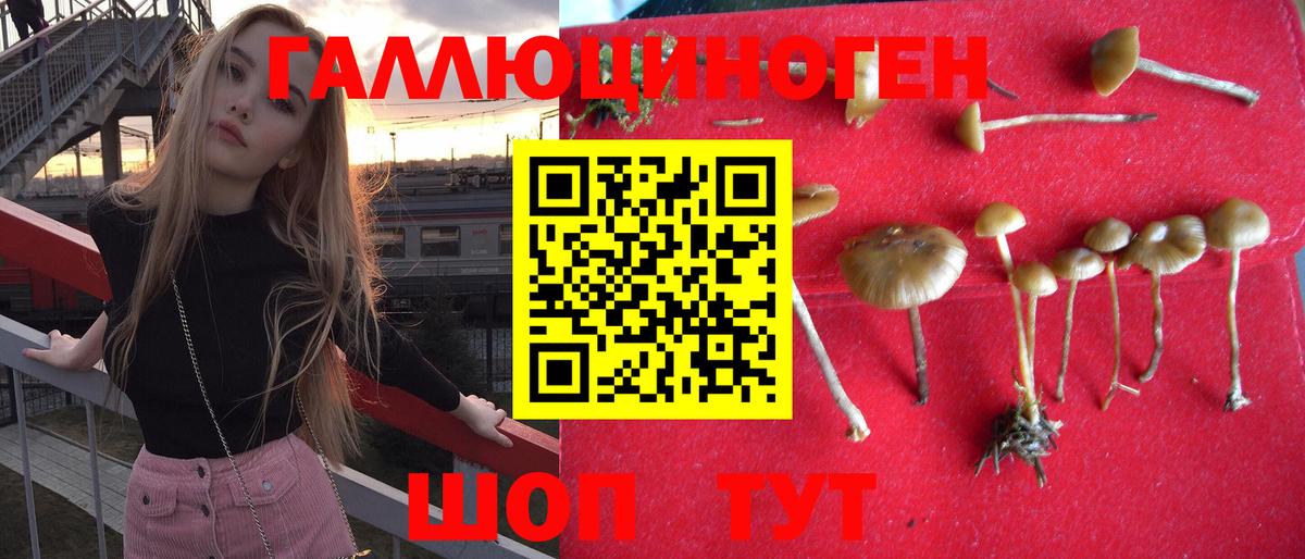 Псилоцибиновые грибы мицелий Лесной