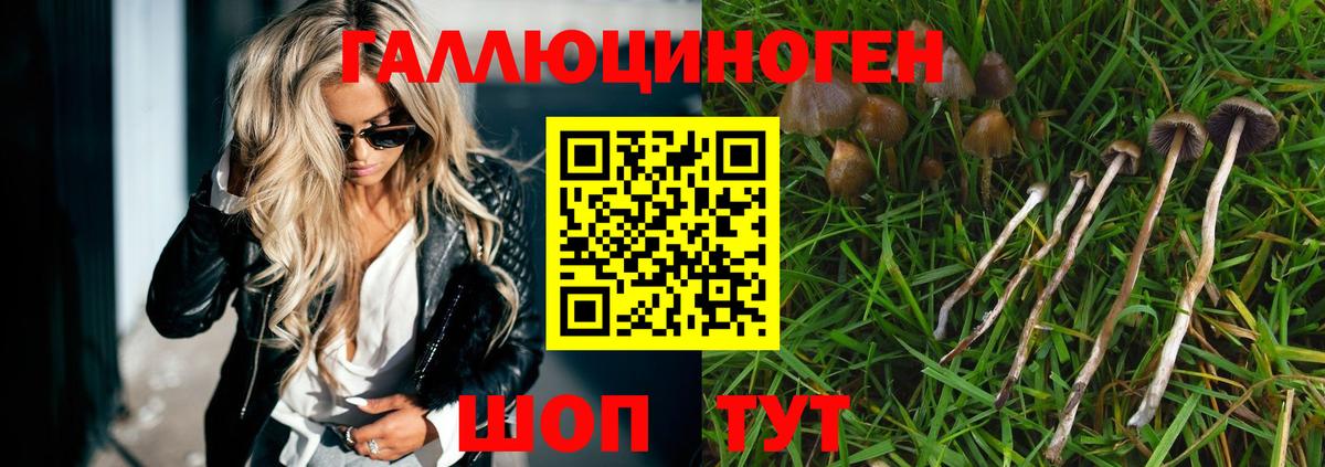 Лесной  Галлюциногенные грибы мухоморы  Вход с VPN 